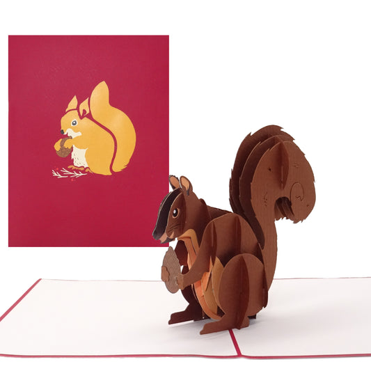 Pop Up Karte "Eichhörnchen" 3D Postkarten als Weihnachtskarte & Geburtstagskarte