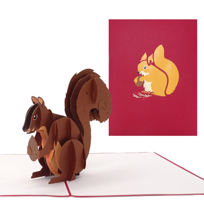 Pop Up Karte "Eichhörnchen" 3D Postkarten als Weihnachtskarte & Geburtstagskarte