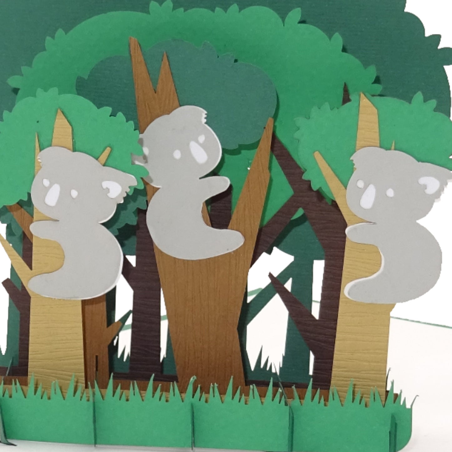 Pop Up Karte „Koalas“ Koala Geburtstagskarte, Einladung Australien Reise