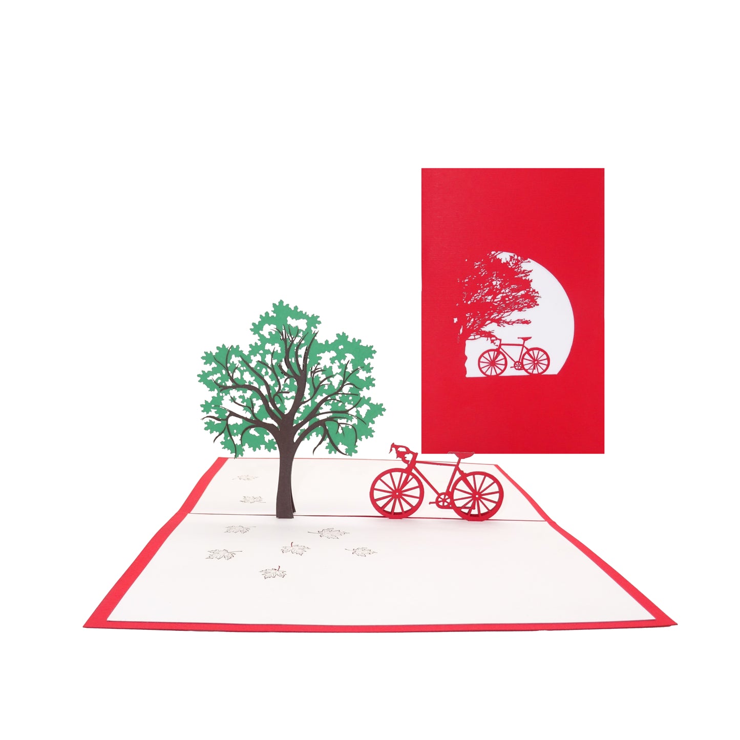 Pop Up Karte "Fahrradtour" 3D Geburtstagskarte, Geschenkidee, Gutschein Fahrrad